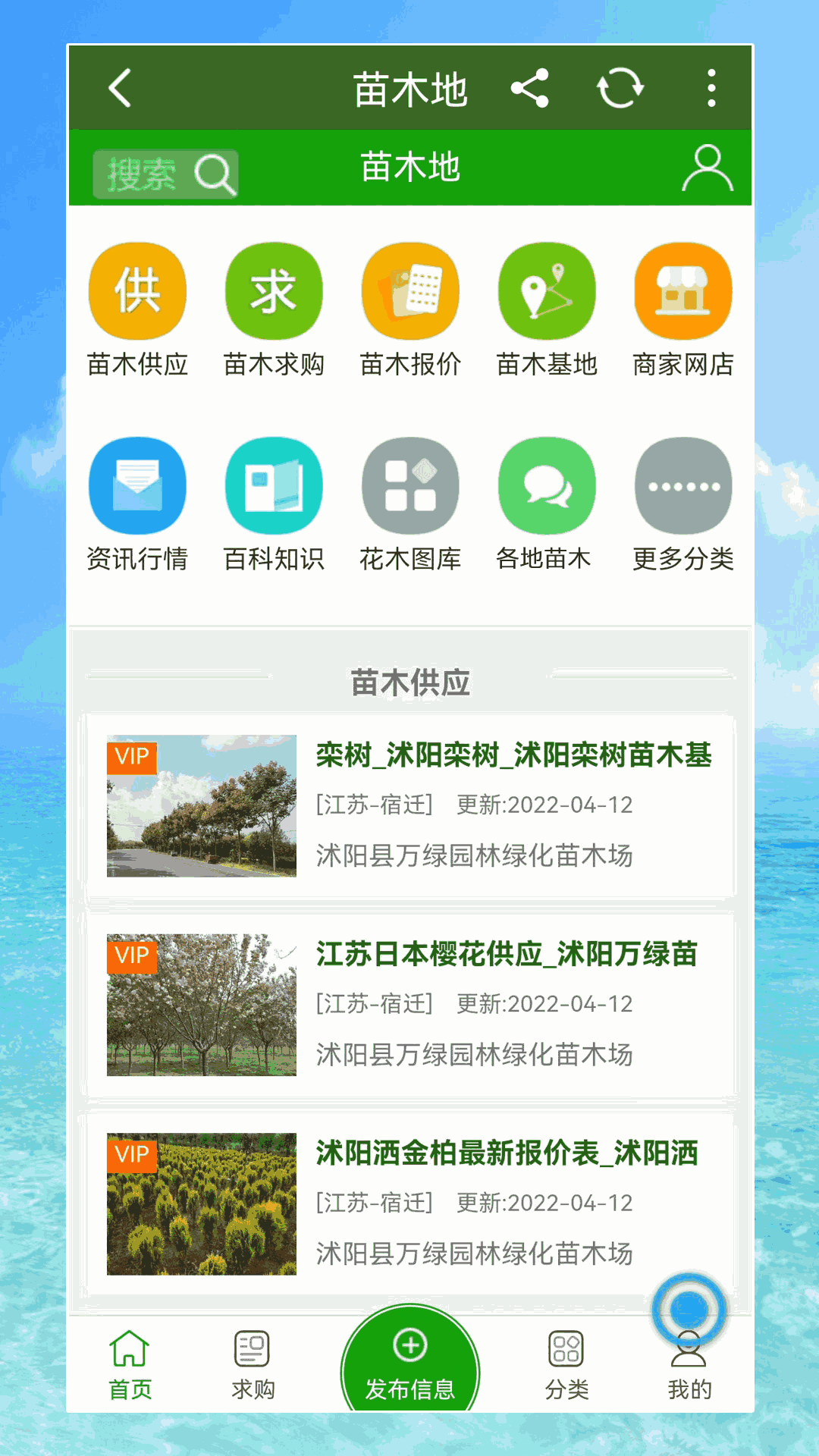 苗木地